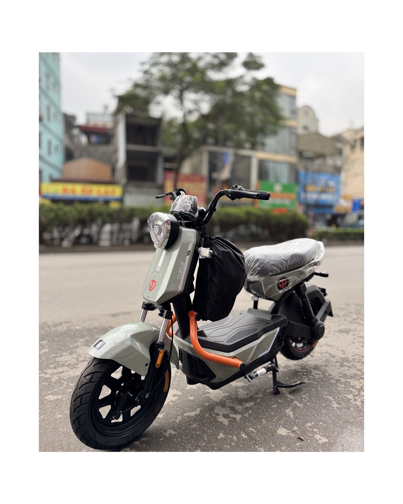 Xe đạp điện Tailg