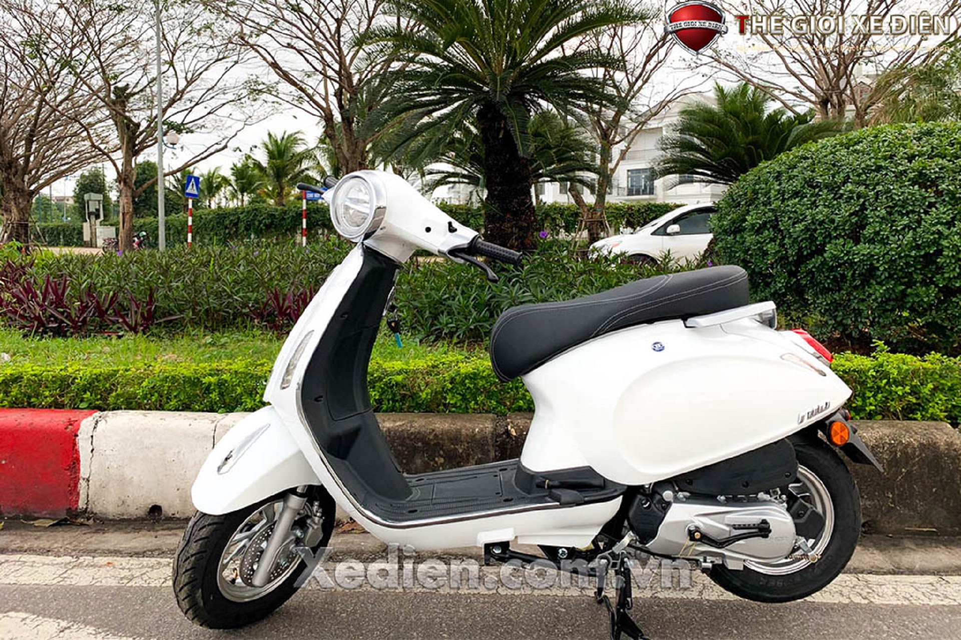 Xe ga 50cc Nioshima Plus 2020