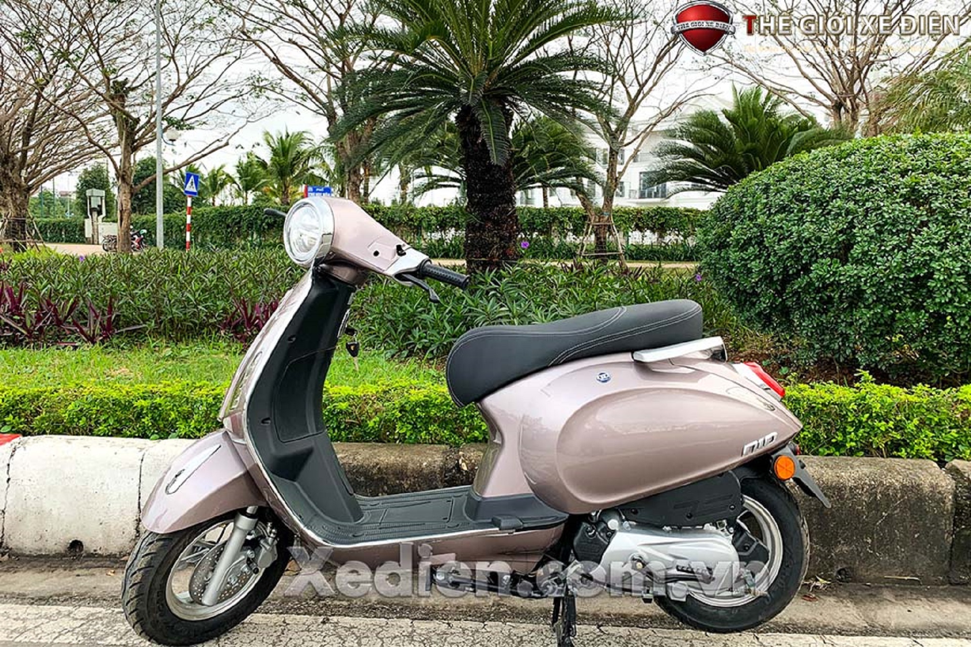 Xe ga 50cc Nioshima Plus 2020